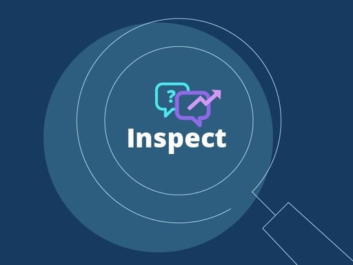 Moodle Inspect Success Plan